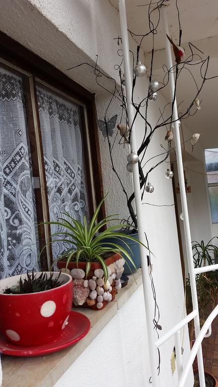Apartments Aida Bihac Exterior photo